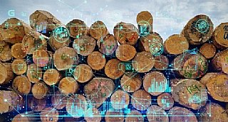 Impulsabend: Exklusiv für Unternehmer und Führungskräfte der Säge- und Holzindustrie